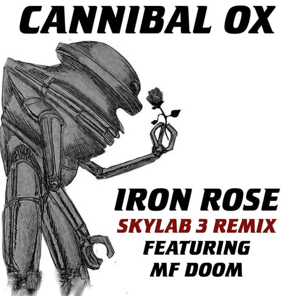 Iron Rose (Skylab 3 Remix) cover
