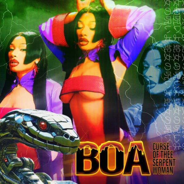 BOA (Acapella) cover