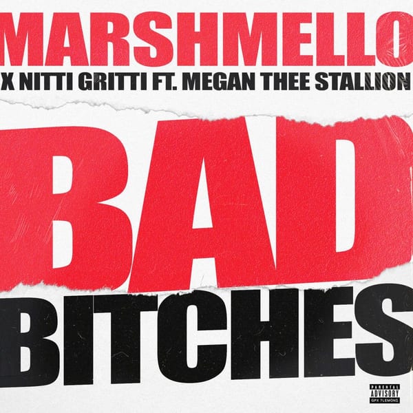 Bad Bitches (feat. Megan Thee Stallion) album cover