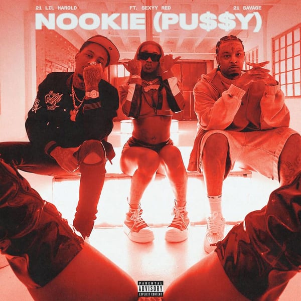 Nookie (Pu$$y) (feat. Sexyy Red) cover