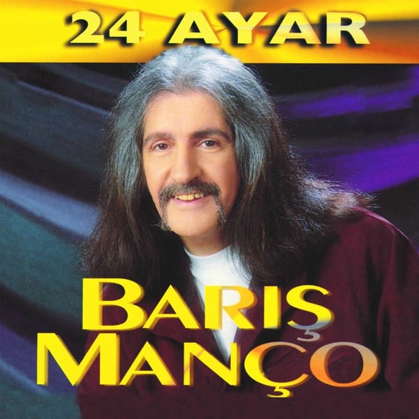 24 Ayar cover