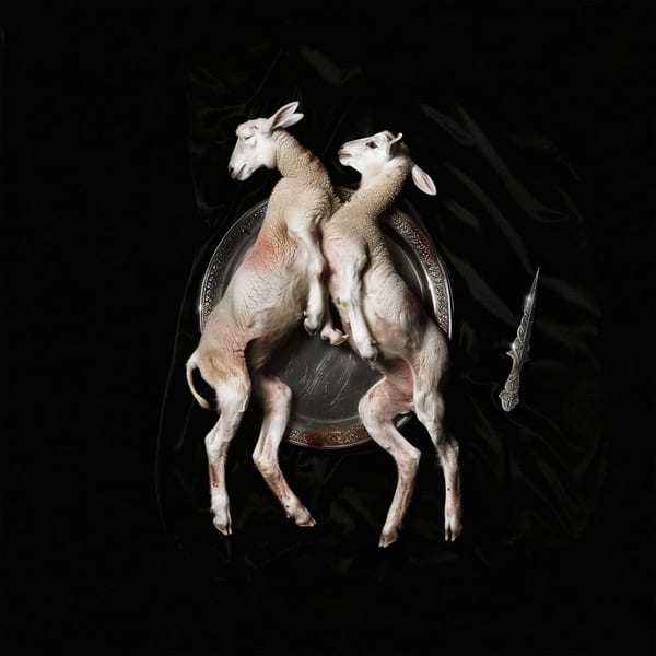 Scarlet Lamb cover