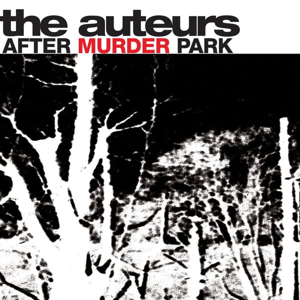 After Murder Park cover