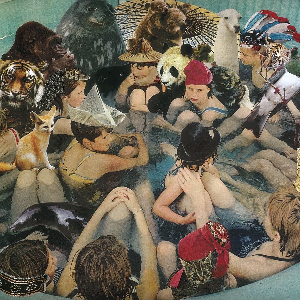 Person Pitch cover
