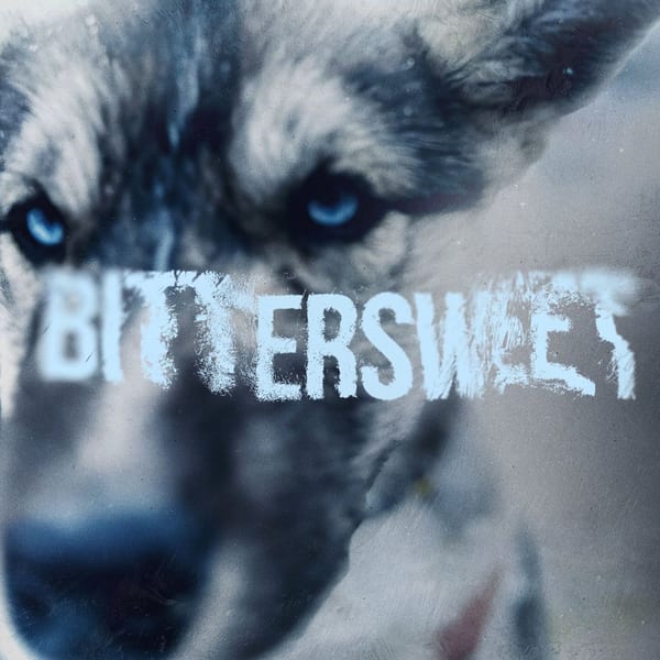 Bittersweet album cover