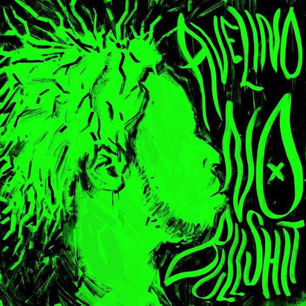 NO BULLSHIT cover