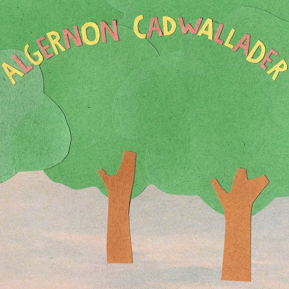 Some Kind of Cadwallader cover