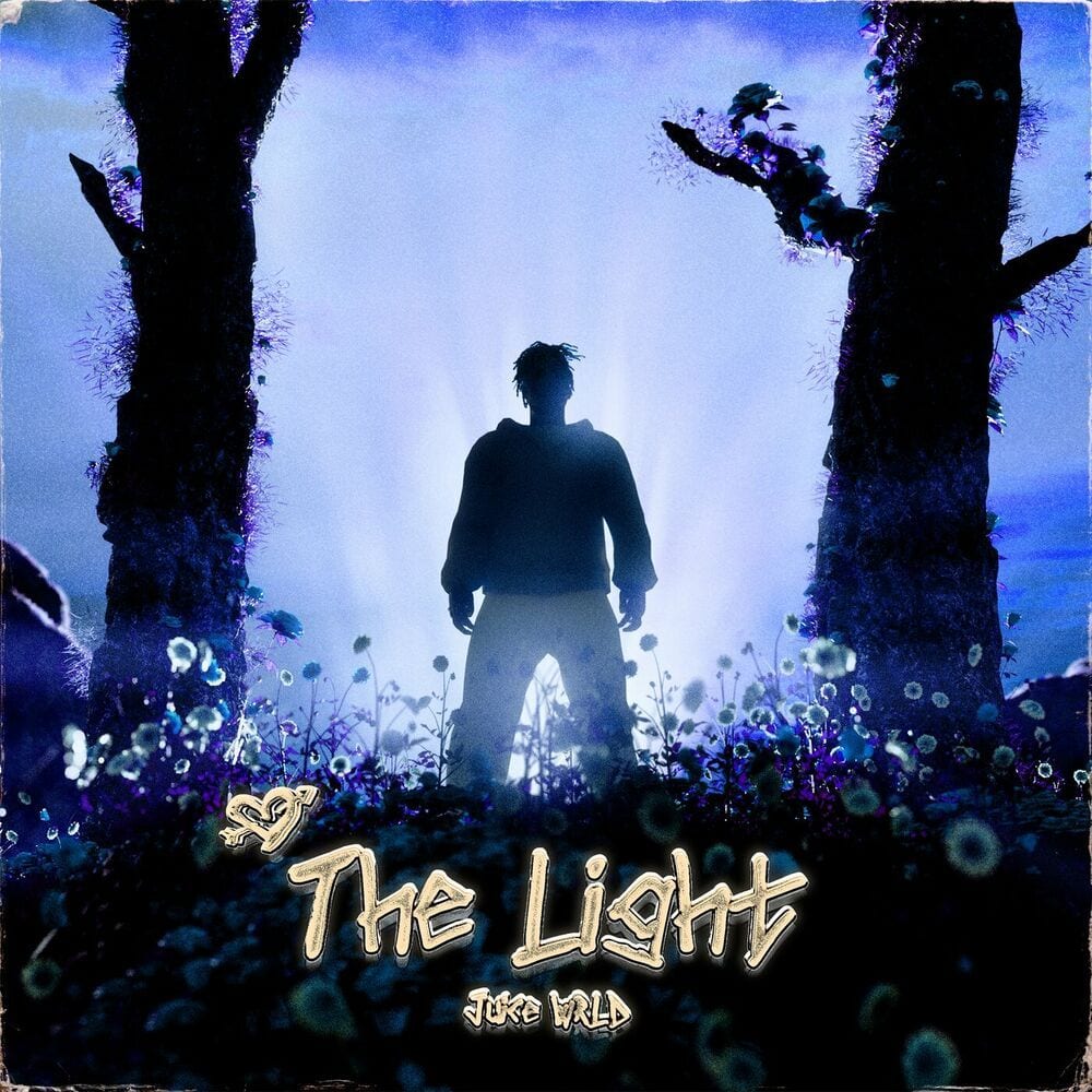 The Light cover