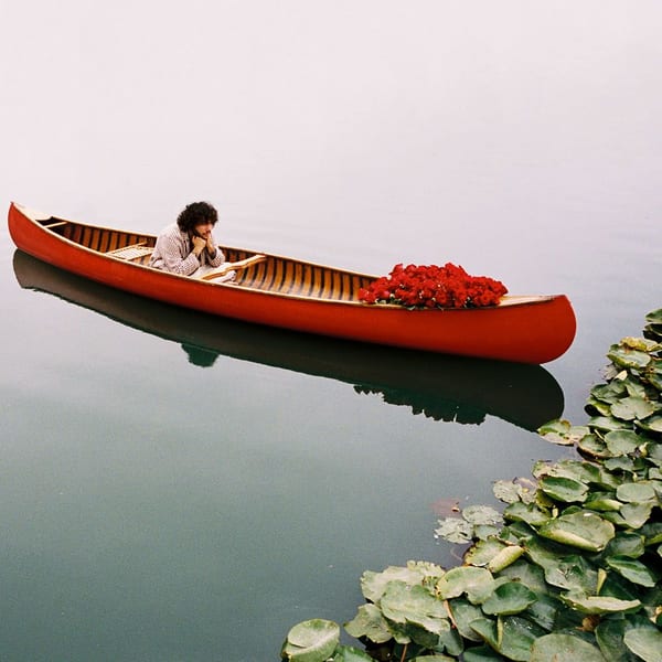 Roses cover