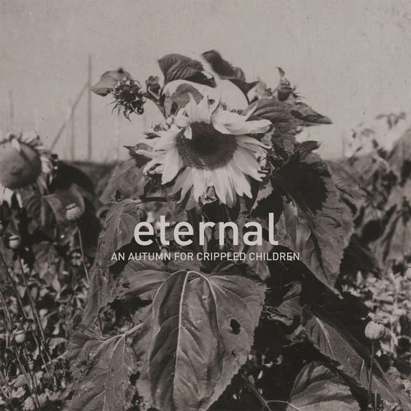 Eternal cover