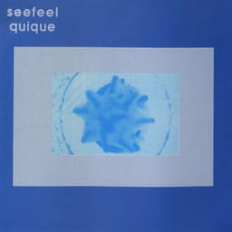 Quique cover art