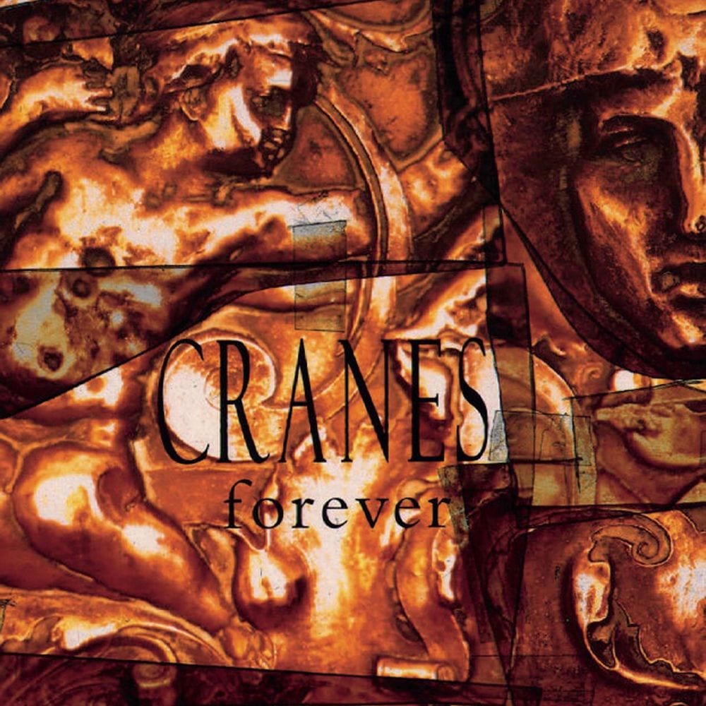 Forever cover