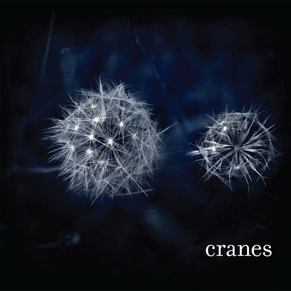 Cranes cover