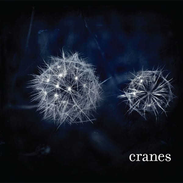 Cranes cover