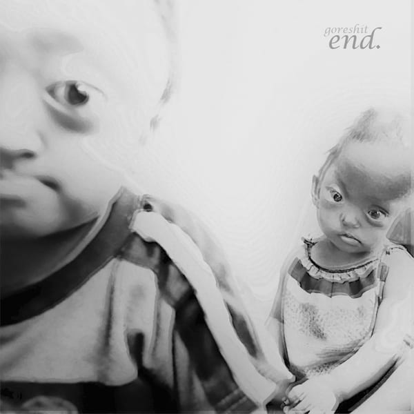 end. cover