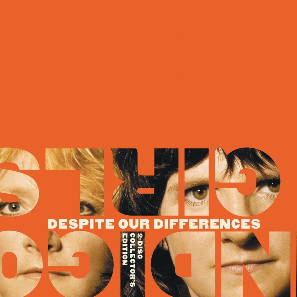 Despite Our Differences cover