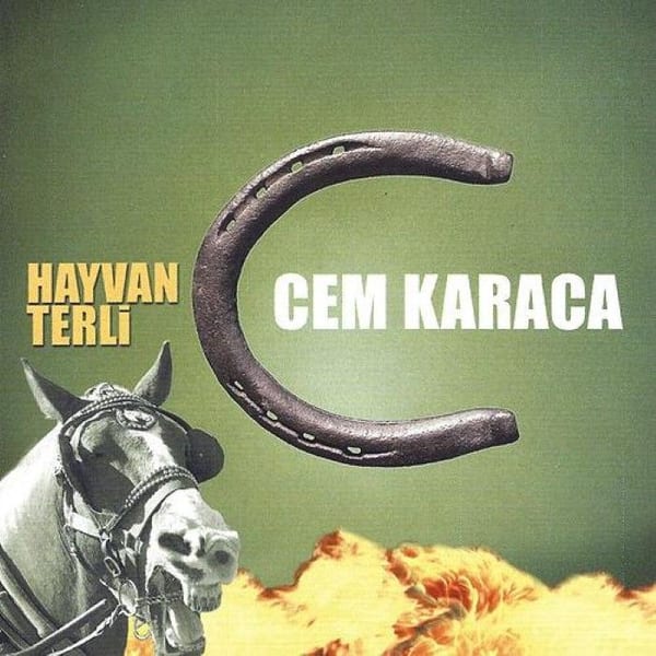 Hayvan Terli cover