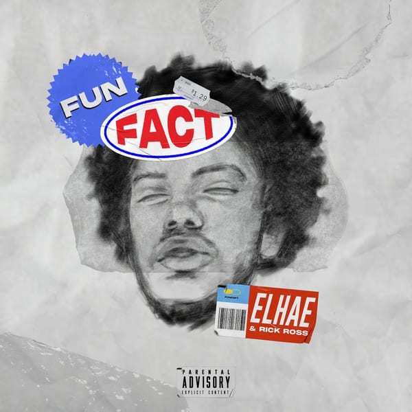 Fun Fact cover