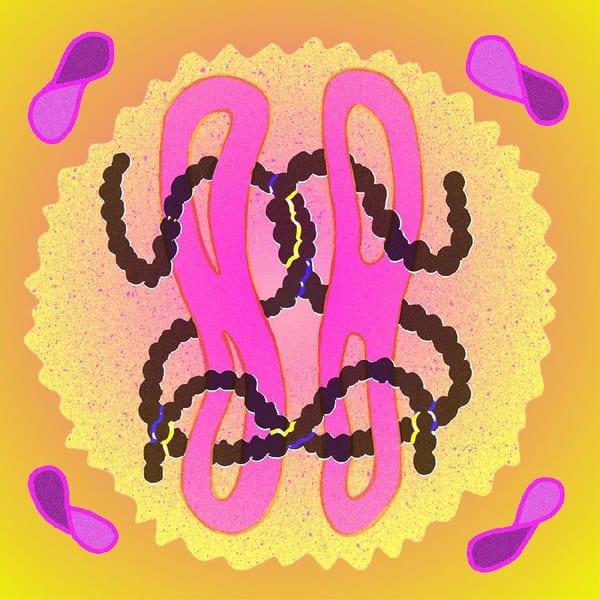 A Real Thing cover