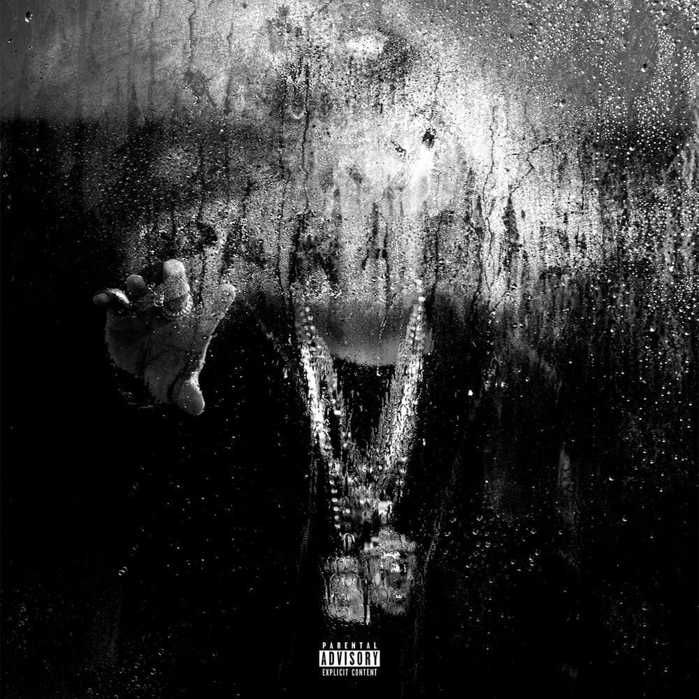 Dark Sky Paradise cover