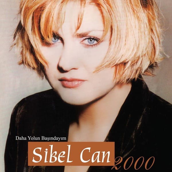 Daha Yolun Başındayım cover