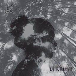 寂 -jaku album cover