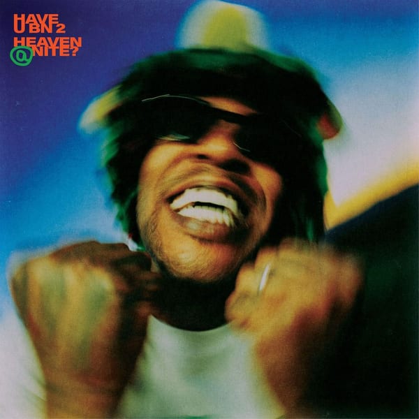 HAVE U BN 2 HEAVEN @ NITE? cover