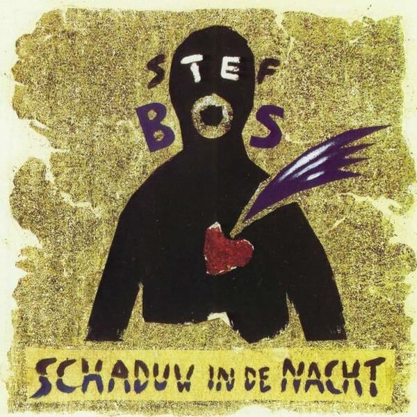 Schaduw in de nacht cover