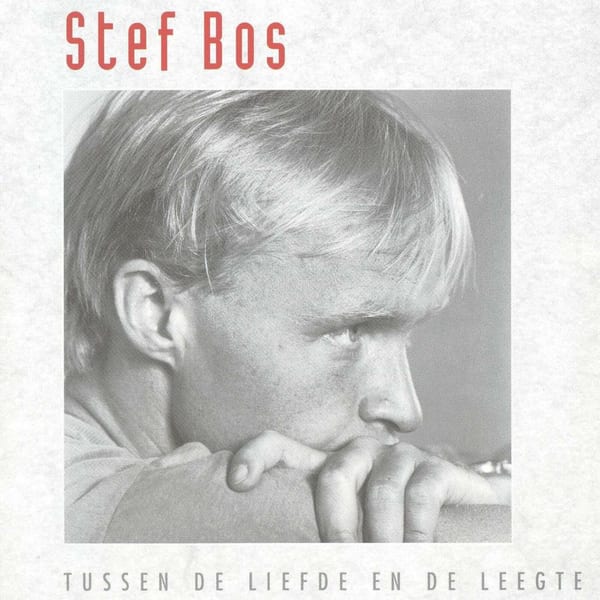 Tussen de liefde en de leegte cover