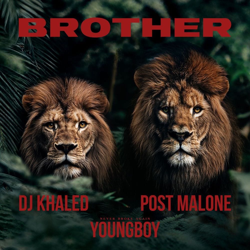 Brother cover