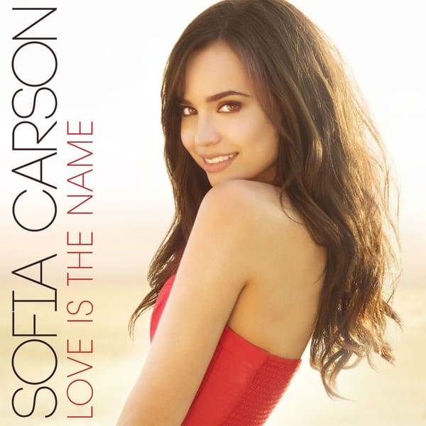 Love Is the Name cover