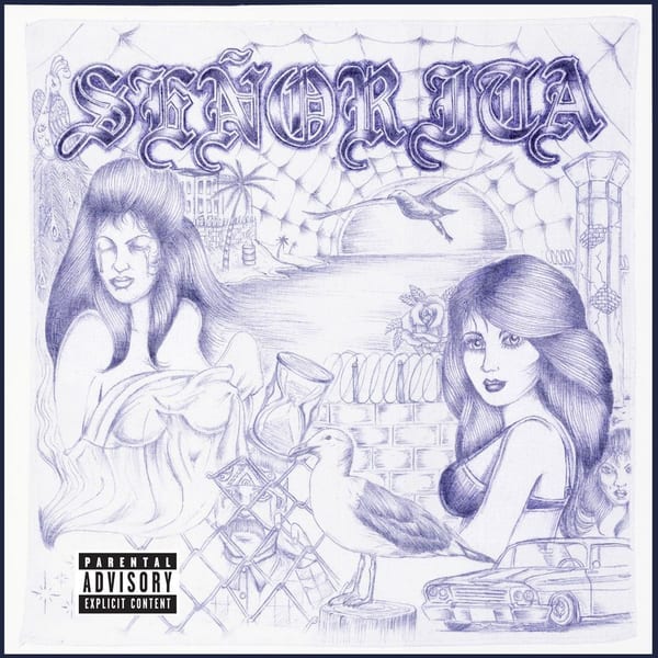 Señorita cover