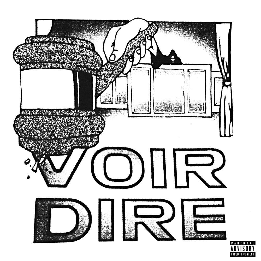 VOIR DIRE cover