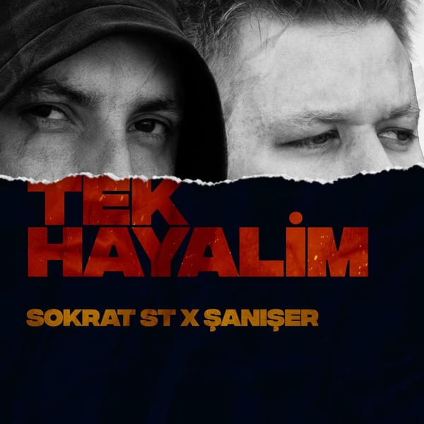 Tek Hayalim album cover