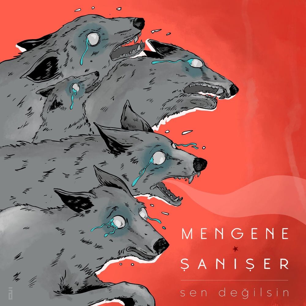 Sen Değilsin cover