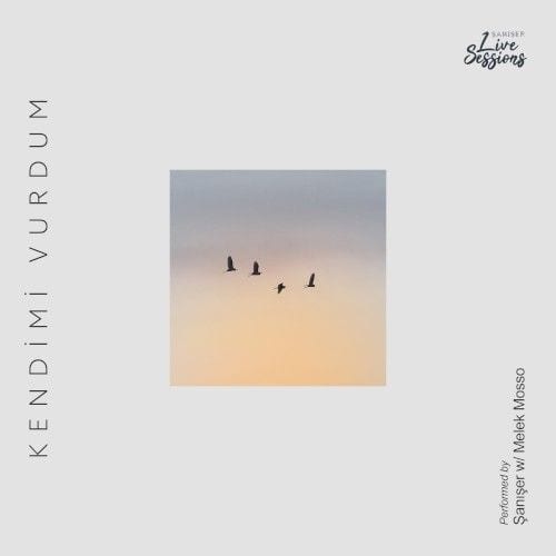 Kendimi Vurdum cover