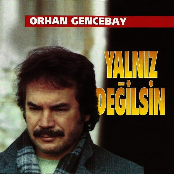 Yalnız Değilsin album cover