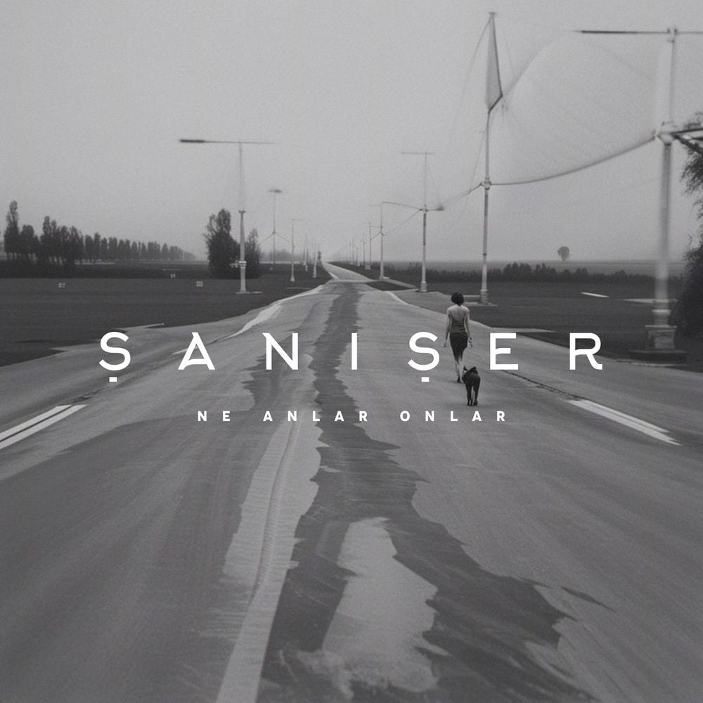 Ne Anlar Onlar cover