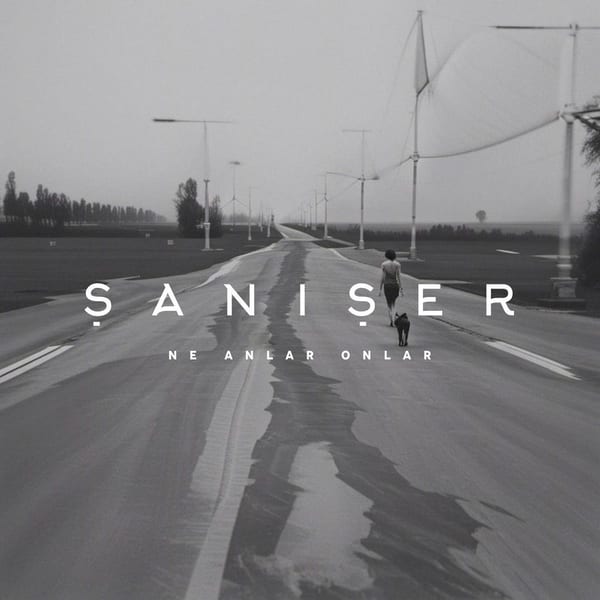Ne Anlar Onlar album cover