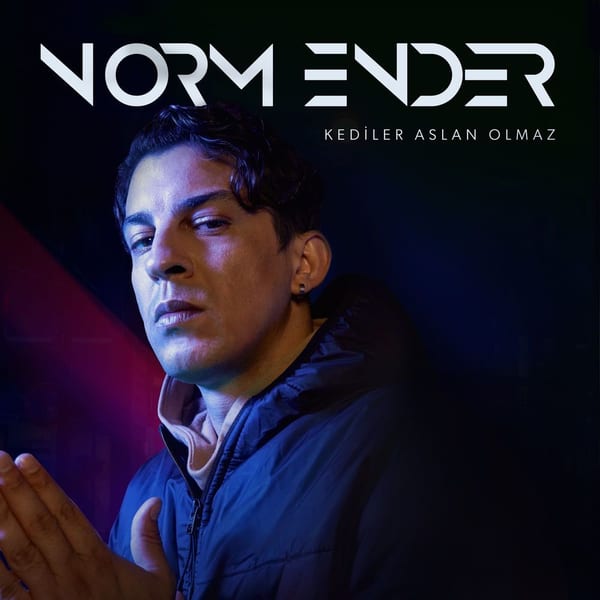 Kediler Aslan Olmaz cover