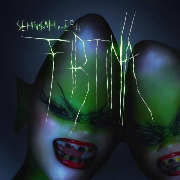 Fırtına album cover