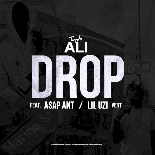 Drop cover