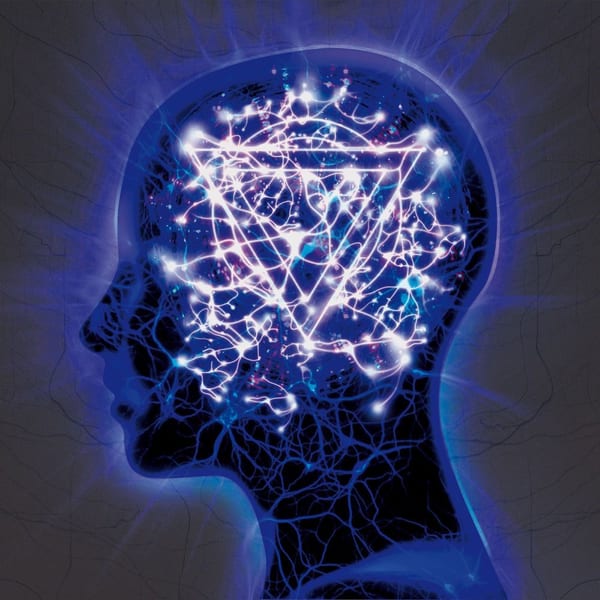 The Mindsweep cover