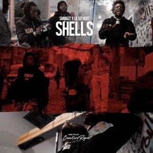 Shells cover