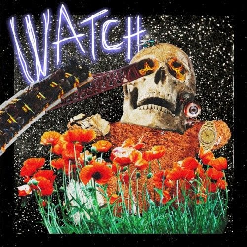 Watch cover