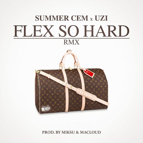 FLEX SO HARD RMX cover