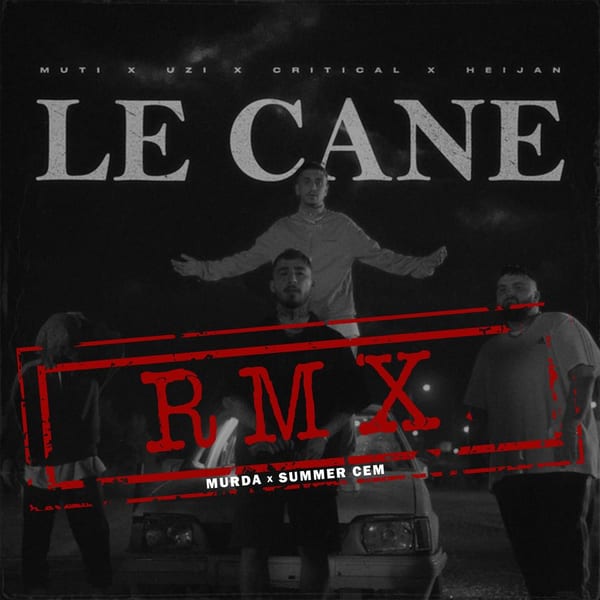 LE CANE (RMX) cover