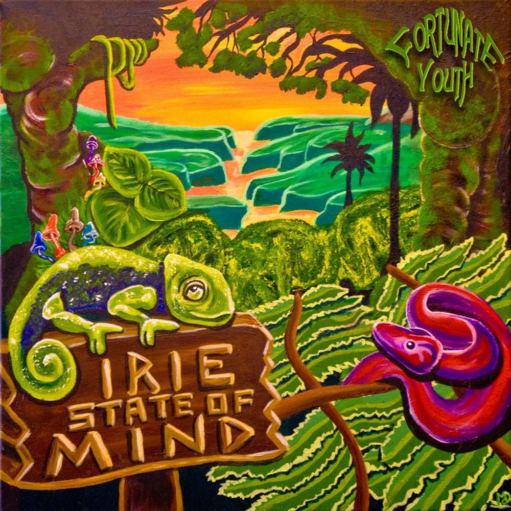 Irie State of Mind cover