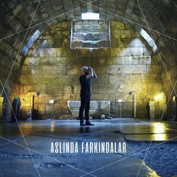 Aslında Farkındalar cover