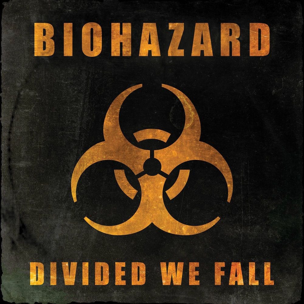 Divided We Fall cover